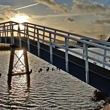 Atelieronwater # De Zwaan * Broek op Langedijk