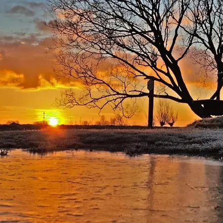 Atelieronwater # De Zwaan *